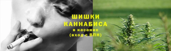ГАЛЛЮЦИНОГЕННЫЕ ГРИБЫ Алзамай