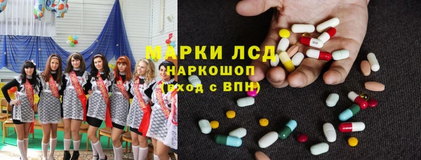 сатива Ростов