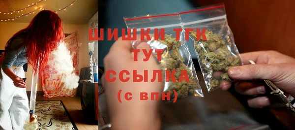 тгк Алексин