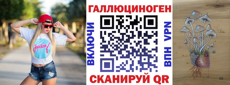 Псилоцибиновые грибы Psilocybe Далматово